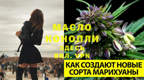 кокс Армянск
