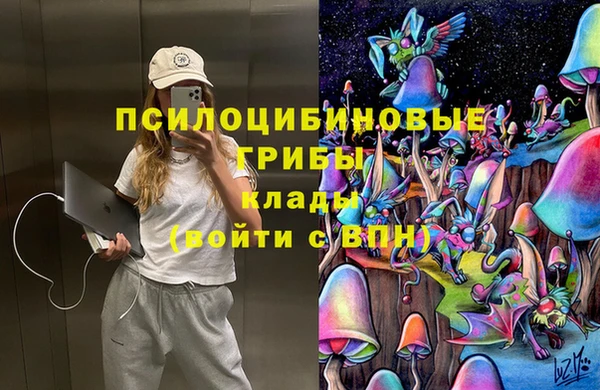 твердый Аркадак