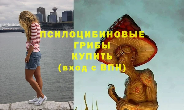 кокс Армянск