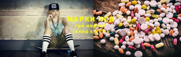 твердый Аркадак