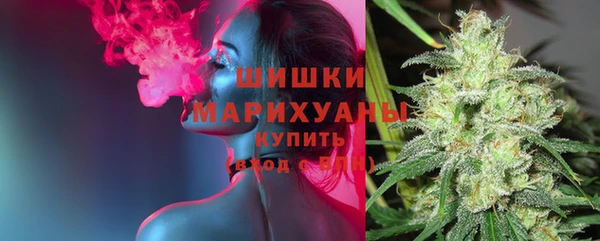 твердый Аркадак